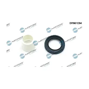 DRM01294 Dr.Motor Automotive