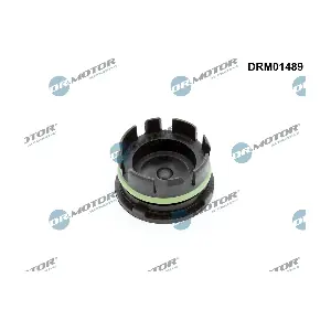 DRM01489 Dr.Motor Automotive