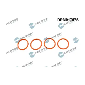 DRM01757S Dr.Motor Automotive
