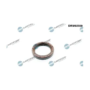 Dr.Motor Automotive DRM02500