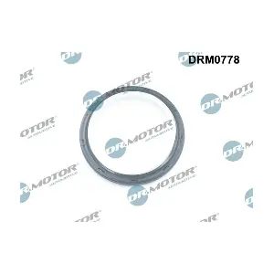 Dr.Motor Automotive DRM0778