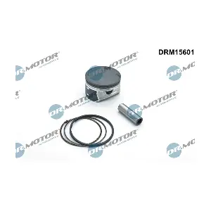 DRM15601 Dr.Motor Automotive