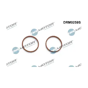 Dr.Motor Automotive DRM0259S
