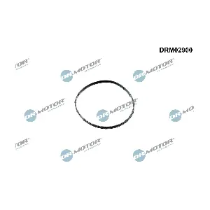 DRM02900 Dr.Motor Automotive