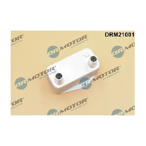 DRM21001 Dr.Motor Automotive