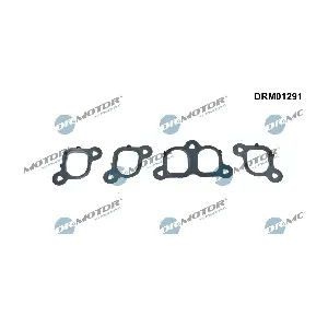 DRM01291* Dr.Motor Automotive