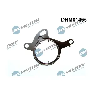 DRM01455 Dr.Motor Automotive