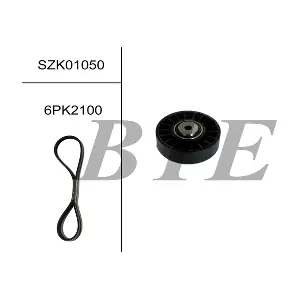 BTE SZK01050