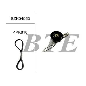 BTE SZK04950