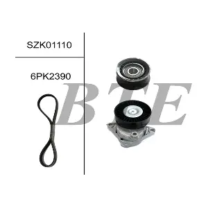 BTE SZK01110