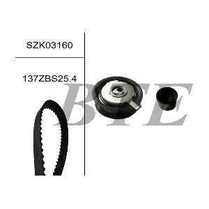 BTE SZK03160