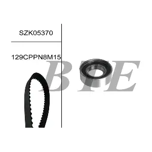 BTE SZK05370