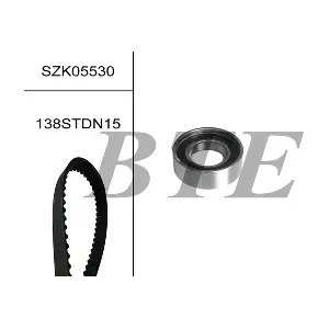 BTE SZK05530