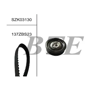 BTE SZK03130