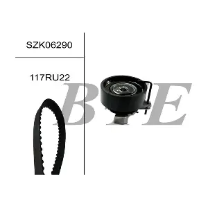 BTE SZK06290