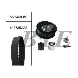 SVK03950 BTE