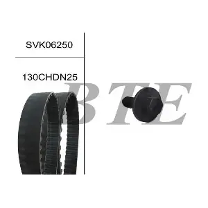SVK06250 BTE