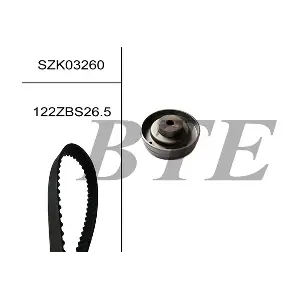 BTE SZK03260