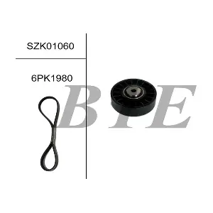 BTE SZK01060