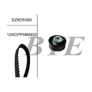 BTE SZK05380