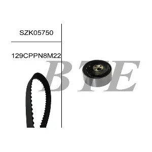 BTE SZK05750