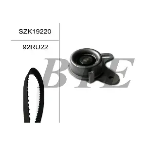 BTE SZK19220