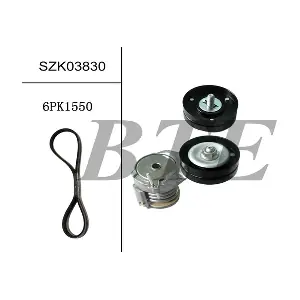 BTE SZK03830