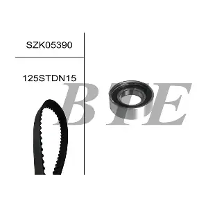 BTE SZK05390