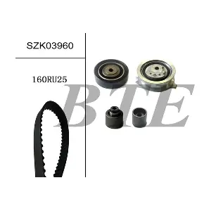 BTE SZK03960