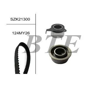 BTE SZK21300