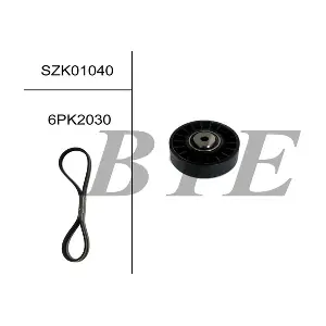 BTE SZK01040