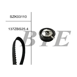 BTE SZK03110