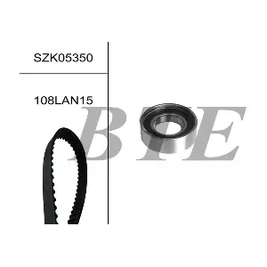 BTE SZK05350