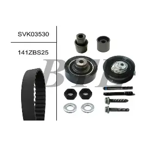 SVK03530 BTE