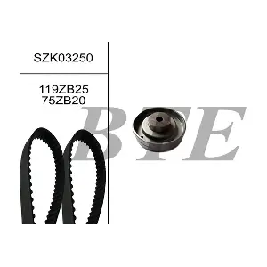 BTE SZK03250