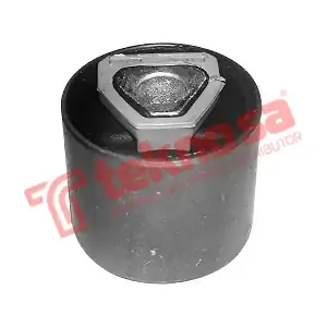 BM1813 TEKNOSA
