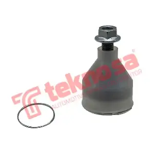 VW1610 TEKNOSA