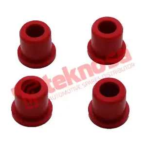 IS2710 TEKNOSA