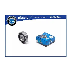 HBLS0310G B-RING