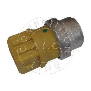 55317 AIC