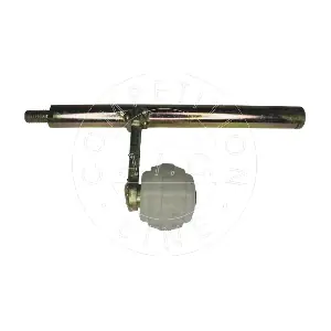 AIC 51174