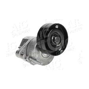 AIC 51631