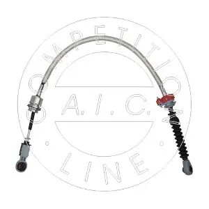 AIC 58977