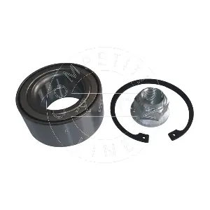 AIC 55863