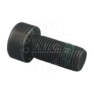 AIC 57365