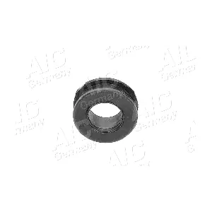 AIC 71556