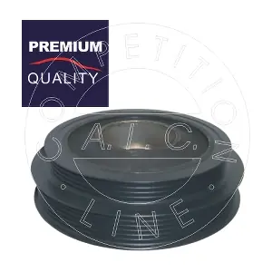 AIC 55581