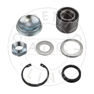 AIC 59587