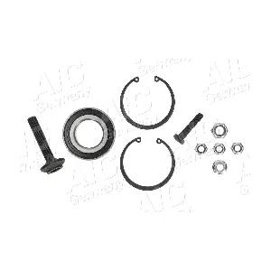 AIC 54821