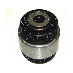 AIC 51559